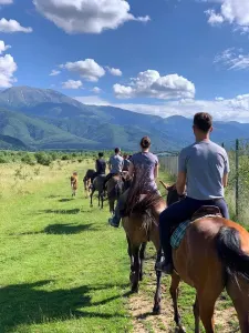Teren intravilan 2500mp  pe Valea Avrigului,optim casa de vacanta - foto 6