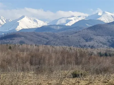 Teren intravilan 2500mp  pe Valea Avrigului,optim casa de vacanta - foto 9