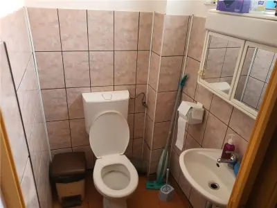 Oportunitate Vilă Individuală in cartier Turnișor zona Zăvoi - foto 14