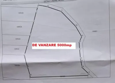 Teren 5.000 mp in Păltiniș Zona Vălari (Priveliște Panoramică & Intimitate) - foto 3