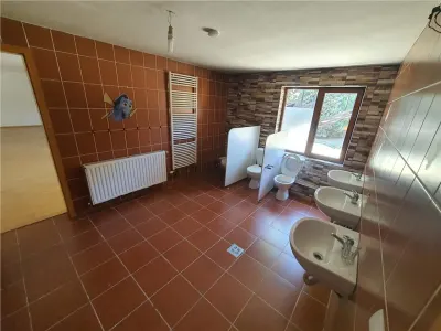 Vilă spațioasă D+P+M zona Terezian,  optima gradinita / sediu firma - foto 10