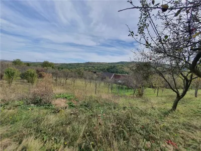 Casă Tradițională Săsească in loc.Aciliu cu 2974mp teren - foto 20