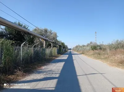 CAP MIDIA ,teren intravilan cu PUZ,5.000 mp,langa mare! - foto 10