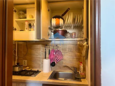 Apartament 2 camere, Ultracentral - foto 5