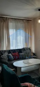 Apartament 2 camere, UMF - foto 1