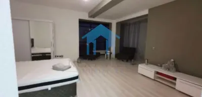 Apartament 1 camera, FSEGA - foto 7