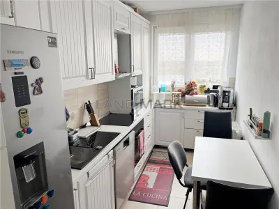 APARTAMENT 3 CAMERE 2 BAI CU LIFT STR CONSTRUCTORILOR - Padurea verde - foto 10