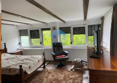 Apartament 2 camere, Marasti - foto 3