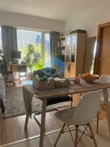 Apartament 2 camere, Viva City, 142.000 + TVA - foto 5