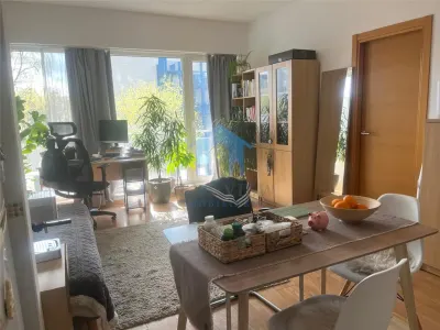 Apartament 2 camere, Viva City, 142.000 + TVA - foto 6
