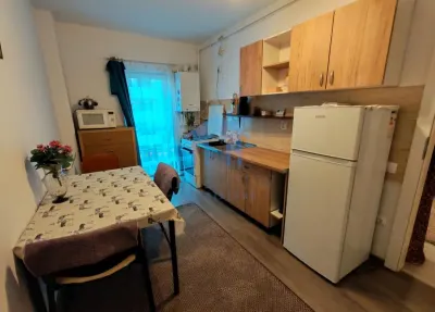 Apartament 1 camera, Marasti - foto 4