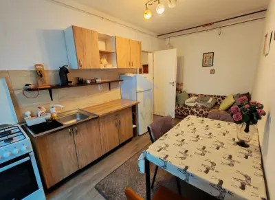 Apartament 1 camera, Marasti - foto 6