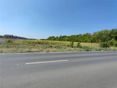 Teren 28000 Balotesti - foto 4