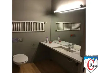 Spatiu Comercial Dorobanti - foto 4