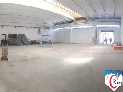 Hala Timisoara - foto 2