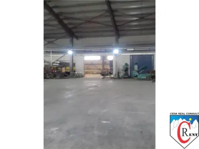 Hala 980 mp Afumati - foto 12