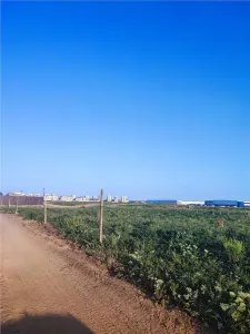 Teren intravilan, pentru dezvoltare rezidentială, in  Tunari. - Bucuresti