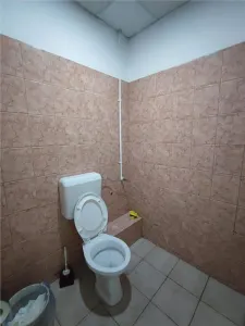 Hala 161 mp Afumati cu ISU - foto 5
