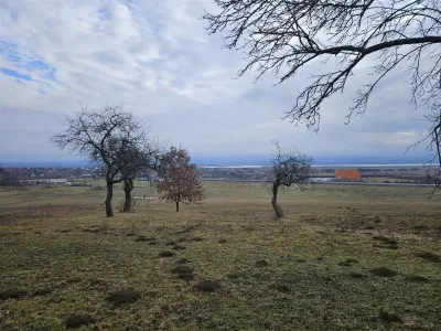 Teren 5000 mp la Bradu - foto 9