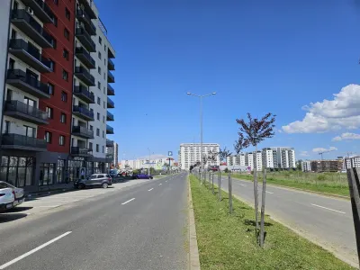 Spatiu comercial pe bulevardul Mihai Viteazu de inchiriat - foto 5