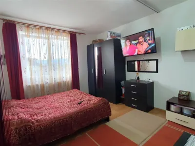 Apartament decomandat cu 3 camere mobilat/utilat in Turnisor - foto 2