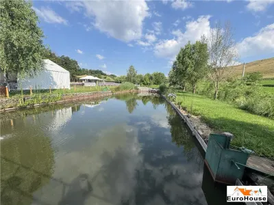 Proprietate de vanzare in apropiere de Municipiul Sebes - foto 10