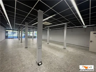 Spatiu de inchiriat in Alba Iulia Cetate - foto 5