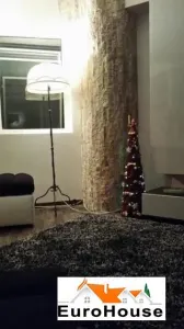 Apartament cu 4 camere de inchiriat in Alba Iulia - foto 4