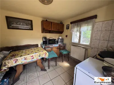 Casa de inchiriat cu teren 1000 mp in Alba Iulia - Alba Iulia