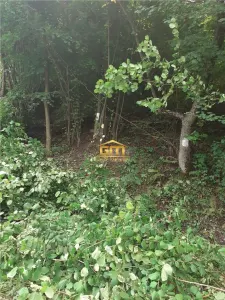 Teren 7.933 mp in Malaia, langă lacul Brădișor - foto 4