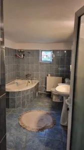 Vila P+E+M in Pausesti Maglasi - foto 9