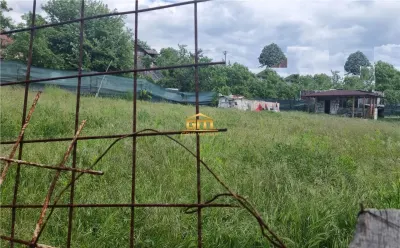 Teren 750mp, Rm.Valcea (Aranghel) - foto 2