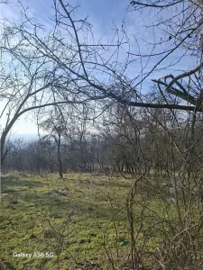 Teren intravilan Cazanesti, la 8 km de oras - Ramnicu Valcea