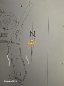 Teren intravilan Cazanesti, la 8 km de oras - foto 2