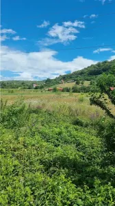 teren 2822mp, Calimanesti ( Jiblea Noua) - Calimanesti
