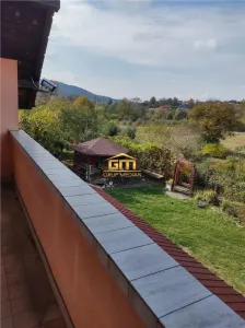 Două case in aceeași curte, 5.600 mp teren - Golești | 138.000 € negociabil - foto 2