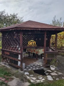 Două case in aceeași curte, 5.600 mp teren - Golești | 138.000 € negociabil - foto 5