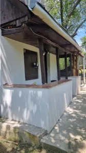 Proprietate de vanzare in Golești - 10800 mp teren și două case, ideală pentru casă de vacanță - foto 2