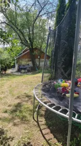 Proprietate de vanzare in Golești - 10800 mp teren și două case, ideală pentru casă de vacanță - foto 5