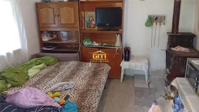 Proprietate de vanzare in Golești - 10800 mp teren și două case, ideală pentru casă de vacanță - foto 8
