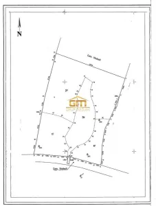 teren 3377mp, Vladesti - foto 5