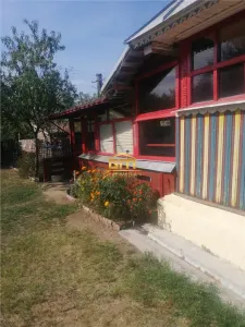 Casă tradițională, cu 12.500 mp teren și anexe gospodărești - Vulturești, județul Olt - foto 2