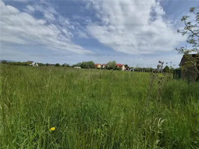Teren arabil, intravilan - zona Bod - foto 2