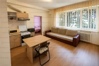 Garsoniera decomandata | Mobilata si Utilata | Zona Noua - foto 1