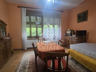 Proprietate cu potential turistic in Gurahont - foto 20