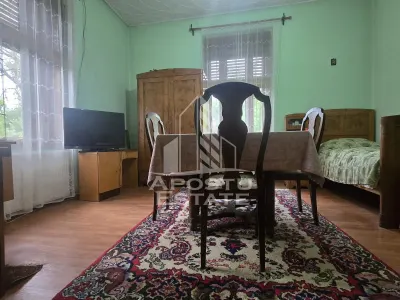 Proprietate cu potential turistic in Gurahont - foto 5