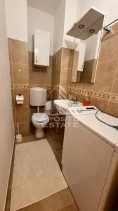 Apartament cu 3 camere , de inchiriat, Zona Bucovina, Timisoara - foto 13