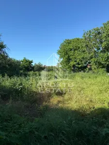 Casa de caramida in Sustra ,Topolovatul Mare cu teren de 1522 mp. - foto 14