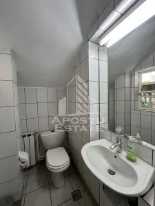 Apartament 4 camere in vila cocheta aproape de Iulius mall - foto 6