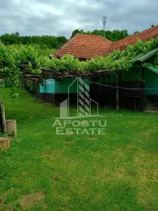 Casa batraneasca de vanzare, 4 camere, in Hunedoara, sat Micanesti - foto 3